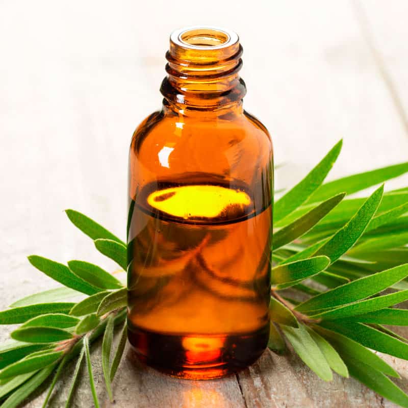 Clinical Tea Tree Oil Extract